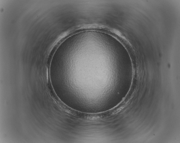 X0000074261221200609081728