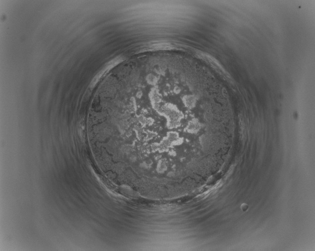 X0000074261225200609081728