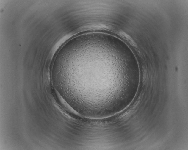 X0000074261226200609081728