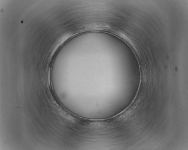 X0000074261227200609081728