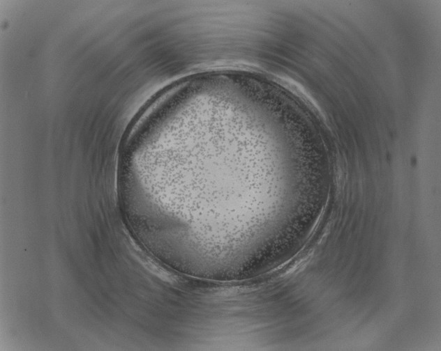 X0000074261228200609081728