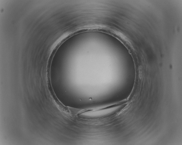 X0000074261229200609081728