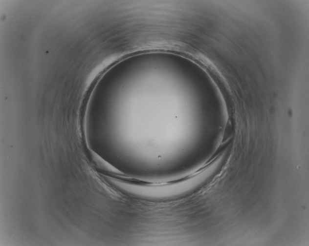 X0000074261230200609081728