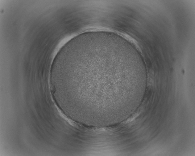 X0000074261231200609081728