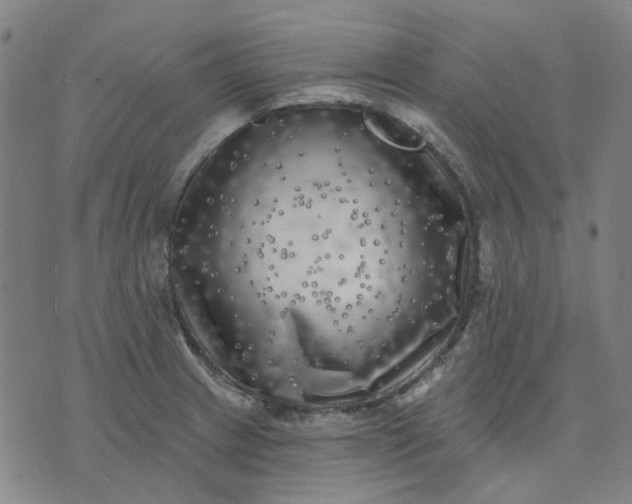 X0000074261233200609081728