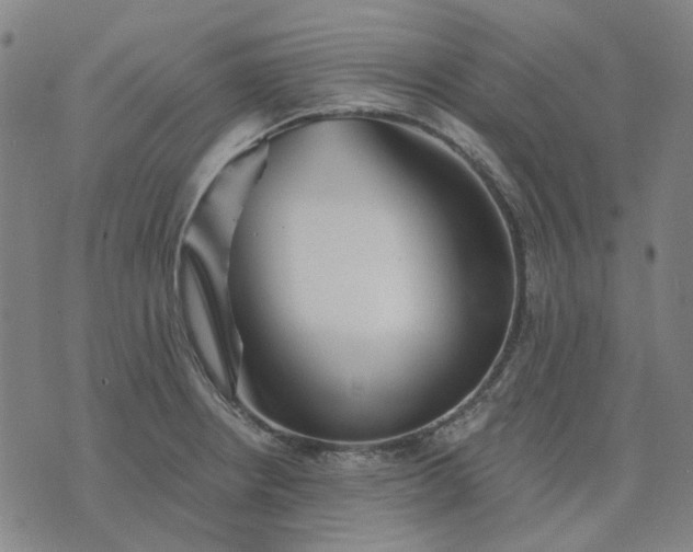 X0000074261234200609081728