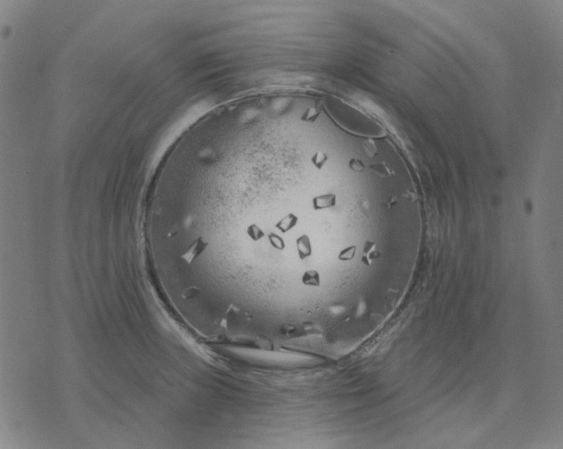 X0000074261235200609081728