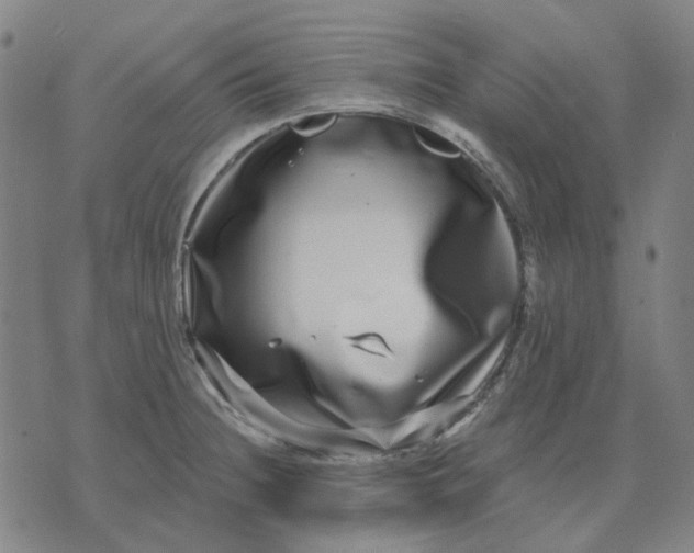 X0000074261236200609081728