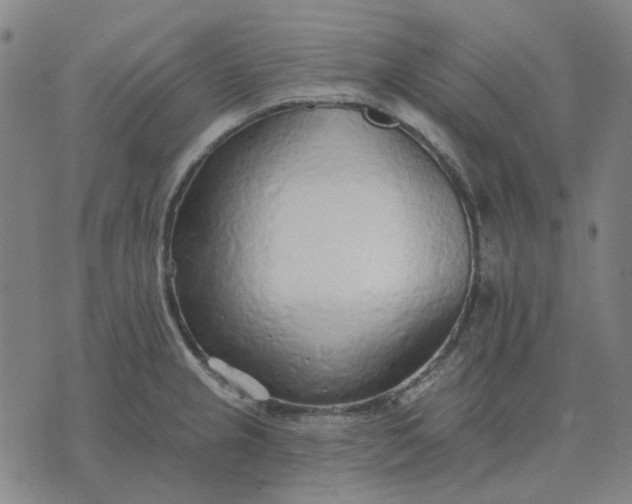 X0000074261237200609081728