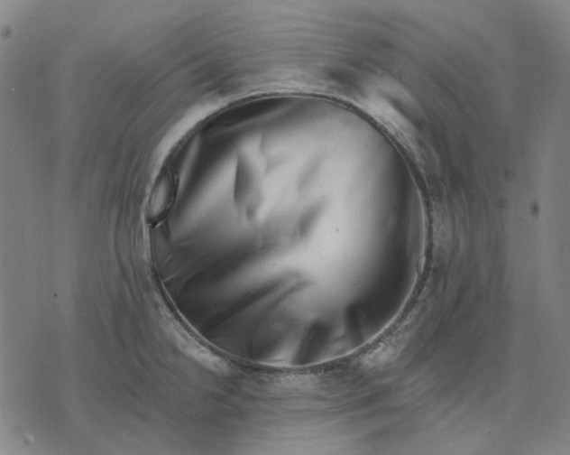 X0000074261238200609081728