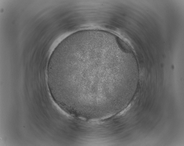 X0000074261239200609081728