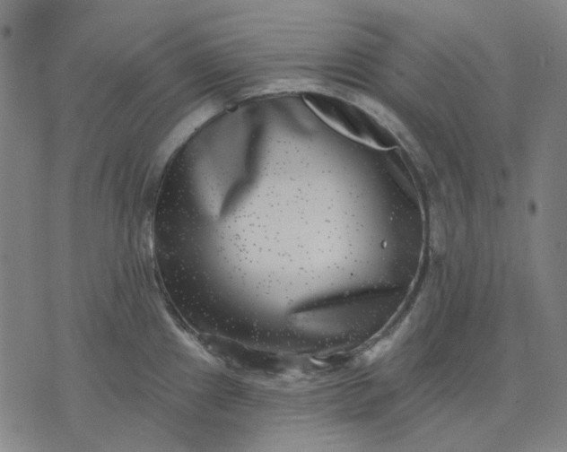 X0000074261241200609081728