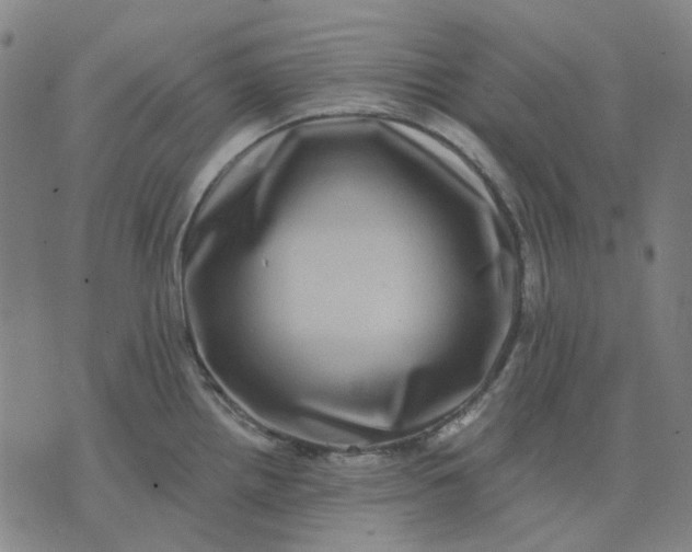 X0000074261242200609081728