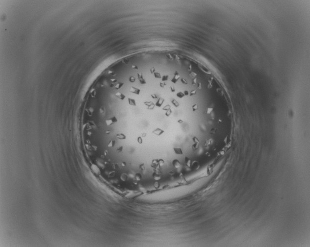 X0000074261243200609081728