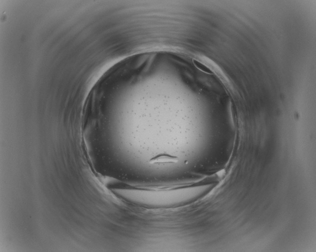 X0000074261244200609081728