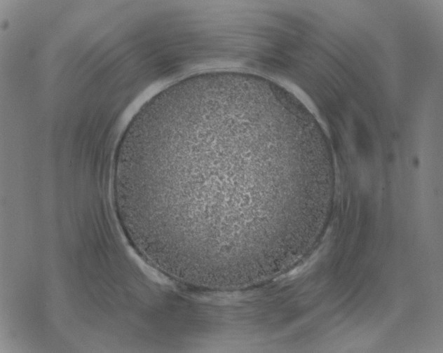 X0000074261245200609081728