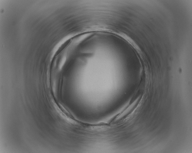 X0000074261246200609081728