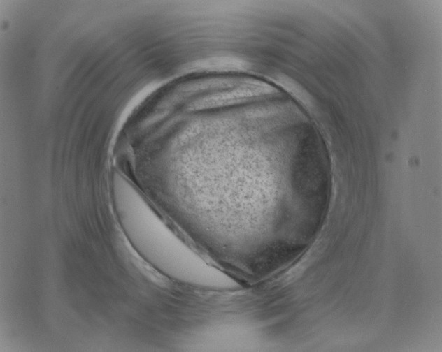 X0000074261248200609081728