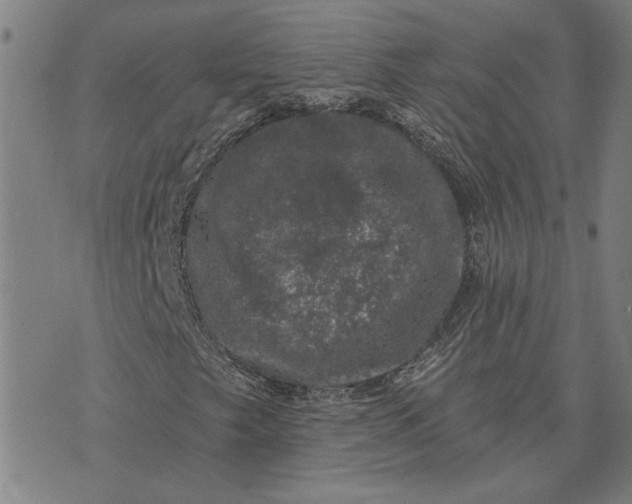 X0000074261249200609081727