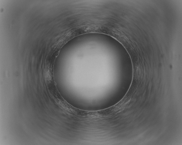 X0000074261250200609081727