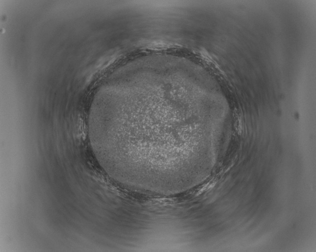 X0000074261253200609081727