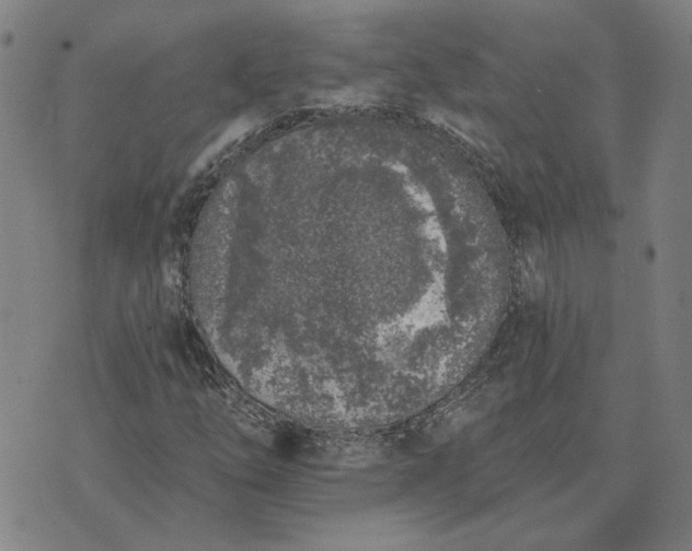 X0000074261254200609081727