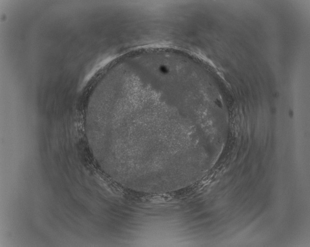 X0000074261255200609081727