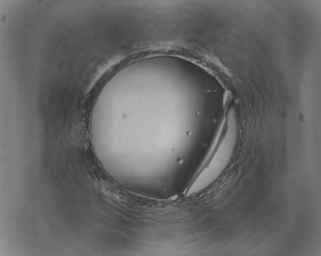 X0000074261256200609081727