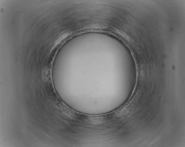 X0000074261258200609081727