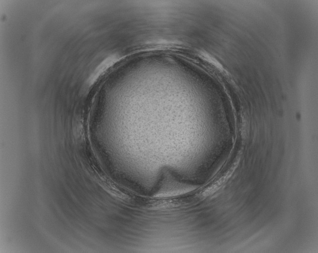 X0000074261259200609081727