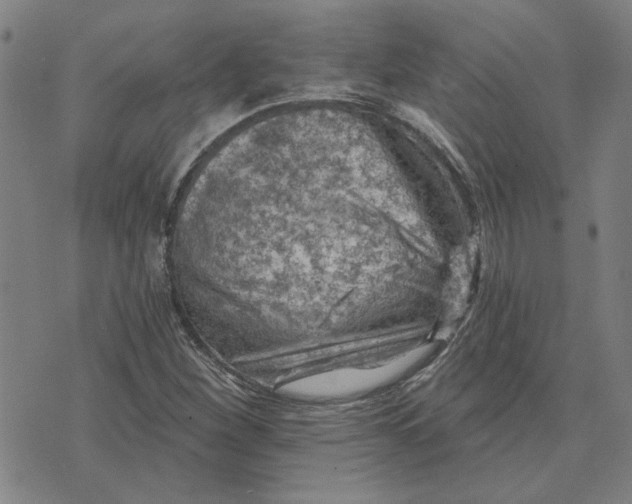 X0000074261260200609081727