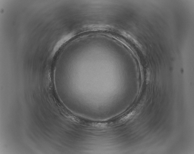 X0000074261261200609081727