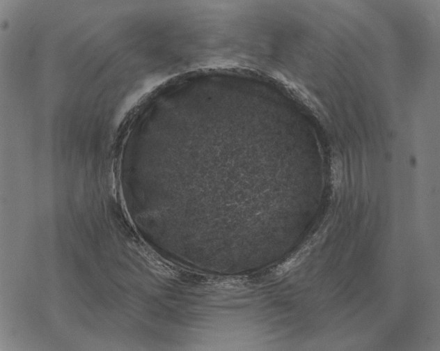 X0000074261262200609081727