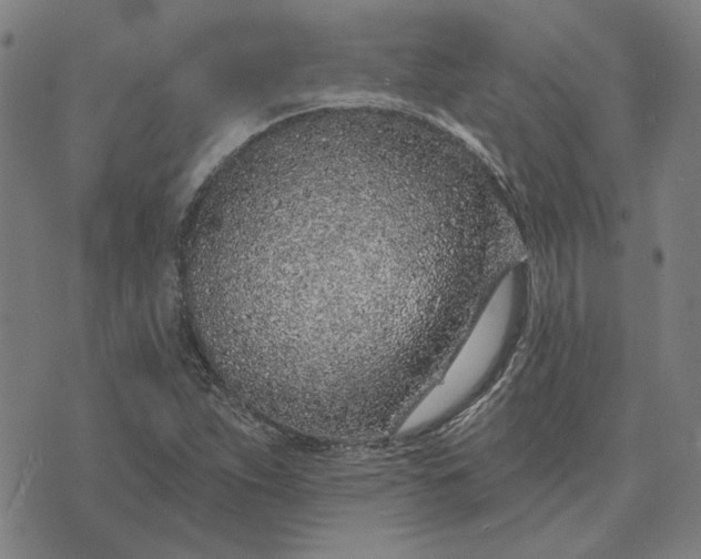 X0000074261263200609081727