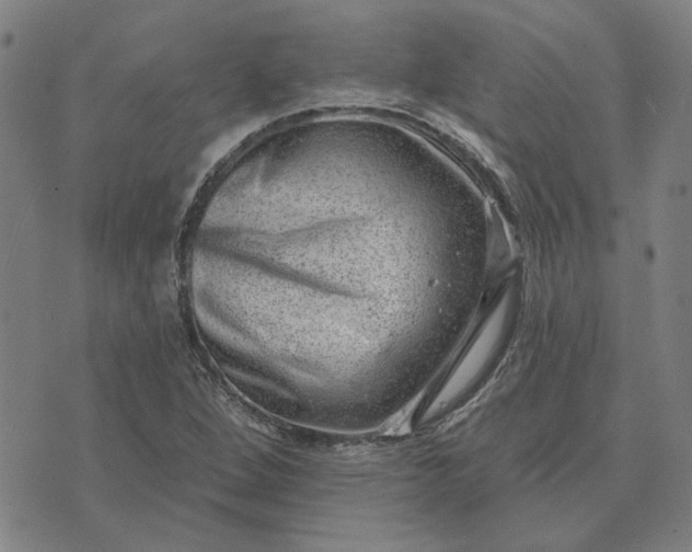 X0000074261264200609081727