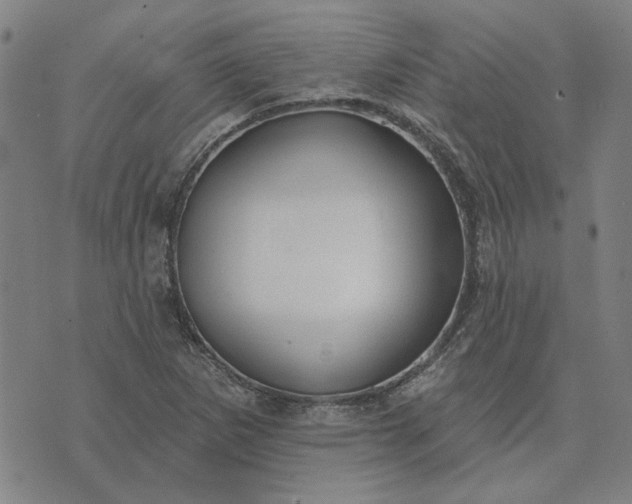 X0000074261265200609081727