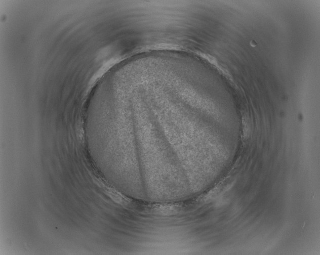 X0000074261266200609081727