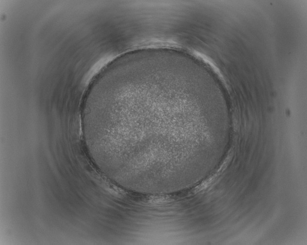 X0000074261267200609081727