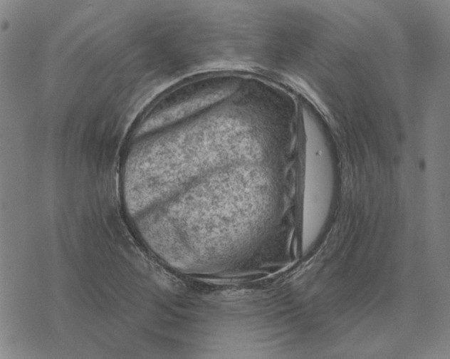 X0000074261268200609081727