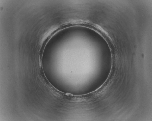 X0000074261269200609081727