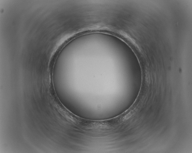 X0000074261270200609081727