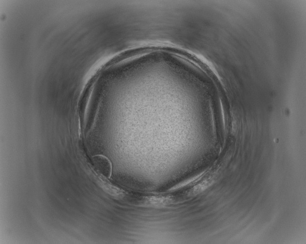 X0000074261271200609081727