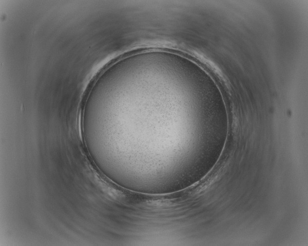 X0000074261272200609081727