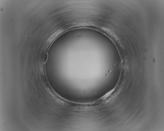 X0000074261273200609081727