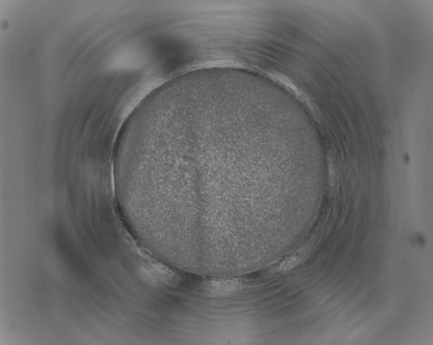 X0000074261274200609081727