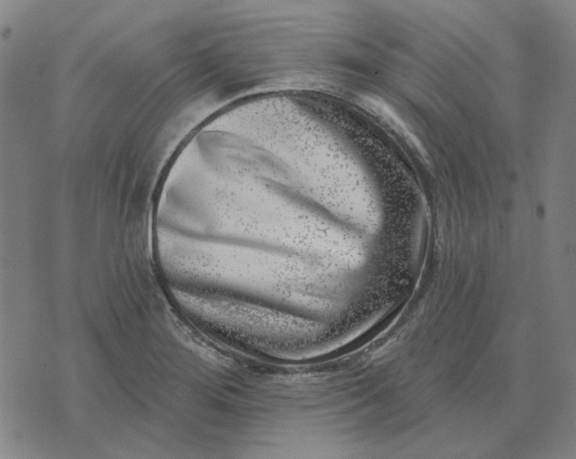 X0000074261276200609081727