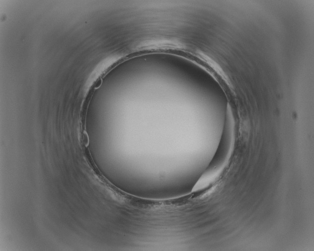 X0000074261277200609081727