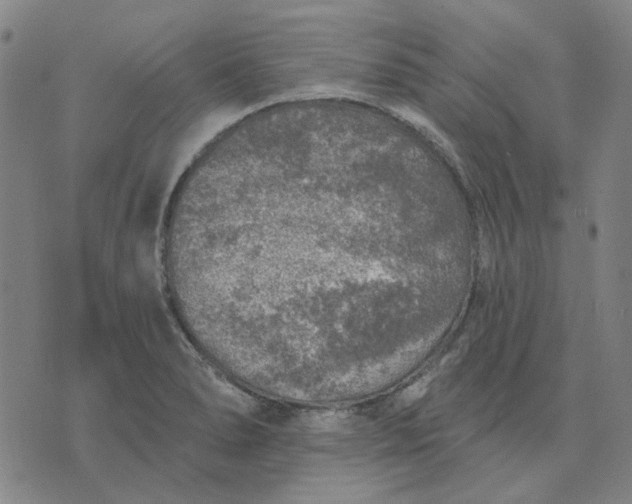 X0000074261278200609081727