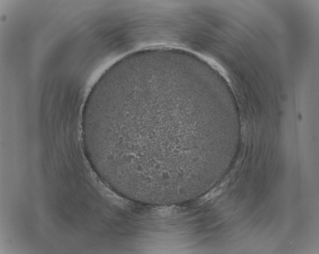 X0000074261279200609081727