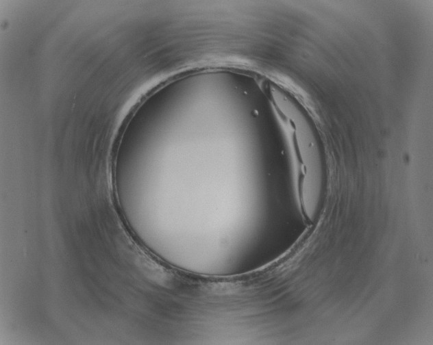 X0000074261280200609081727